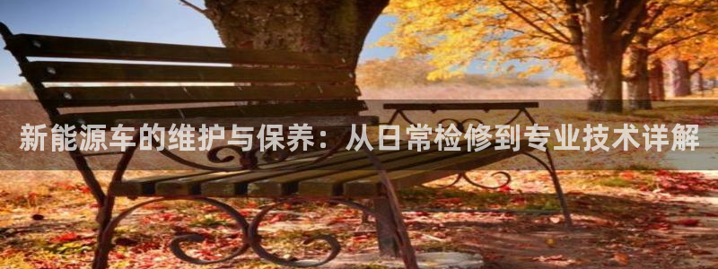 新宝gg如何代理