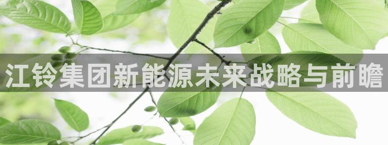 新宝gg主管开