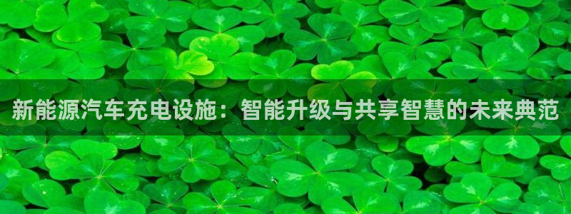 新宝gg客户登录