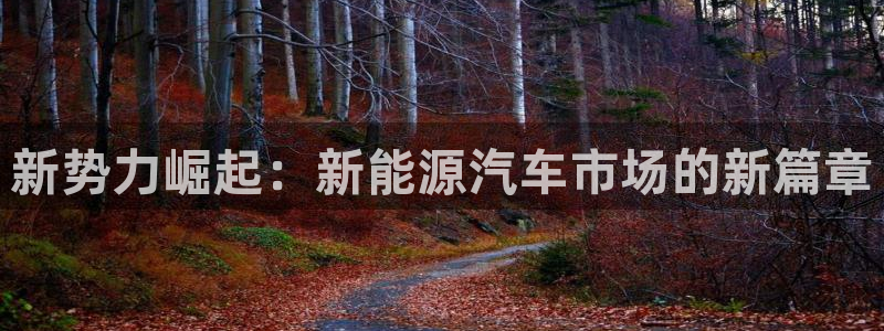 新宝gg手机助手