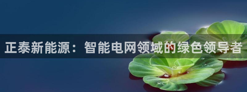 新浪新闻新宝gg