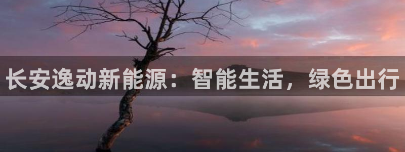 新宝gg客户端下载
