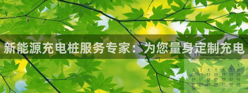 新宝 gg平台