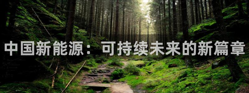 新宝gg登录平台
