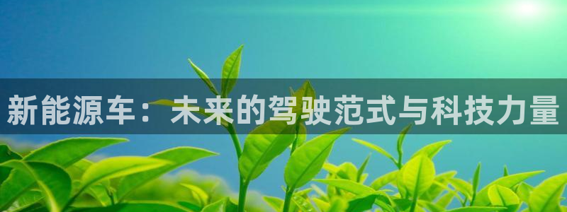 新宝gg官方注册找上级:新能源车:未来的驾驶范式与科技力量