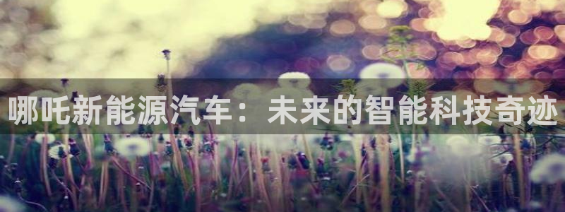 新宝gg8:哪吒新能源汽车:未来的智能科技奇迹