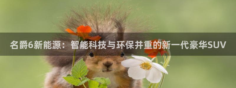 新宝gg主管_:名爵6新能源:智能科技与环保并重的新一代豪华