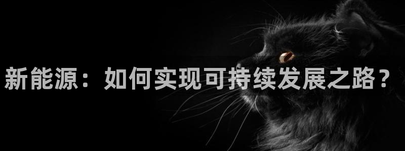 新宝 gg:新能源:如何实现可持续发展之路?