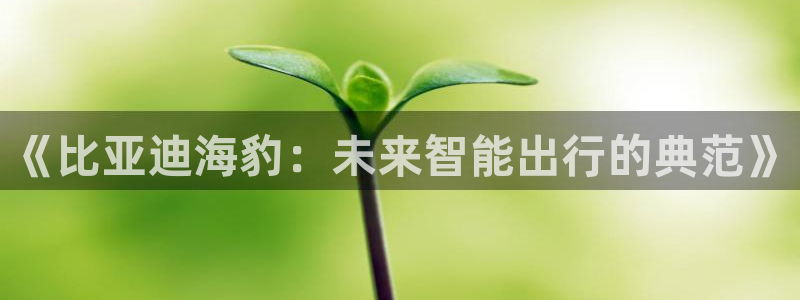 55新宝gg:《比亚迪海豹:未来智能出行的典范》