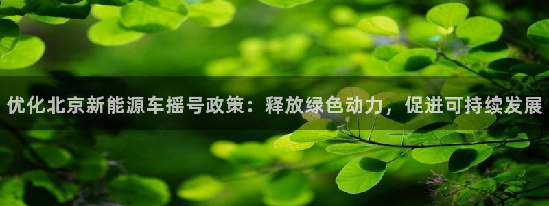 新宝GG娱乐下载:优化北京新能源车摇号政策:释放绿色动力,促