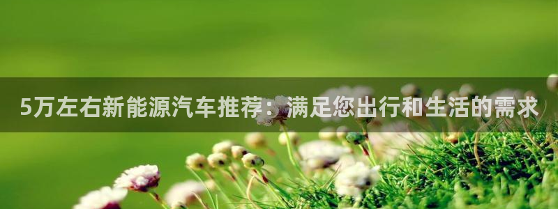 新宝gg主页