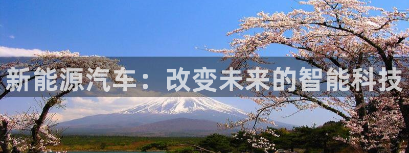 新宝gg公司