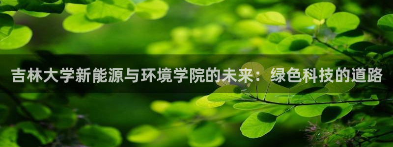 新宝gg网址：吉林大学新能源与环境学院的