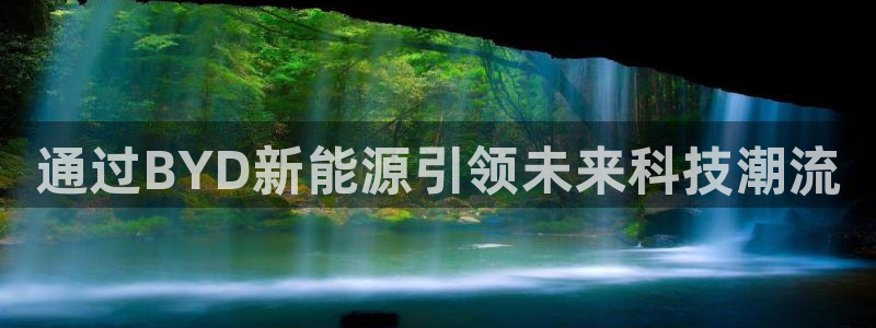 新宝gg dx-gg.cn：通过BYD新
