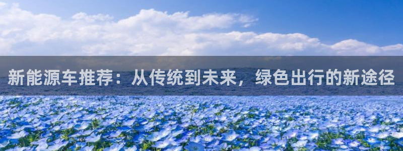 新宝 gg最新:新能源车推荐:从传统到未来,绿色出行的新途径