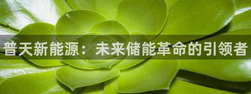 新宝gg黑平台：普天新能源：未来储能革命