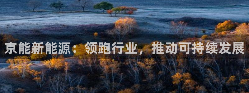 新宝gg奇迹