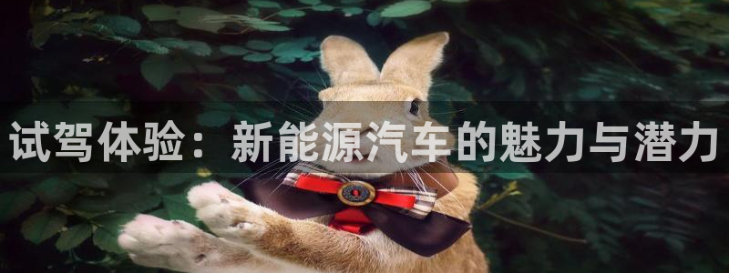 新宝太阳 gg