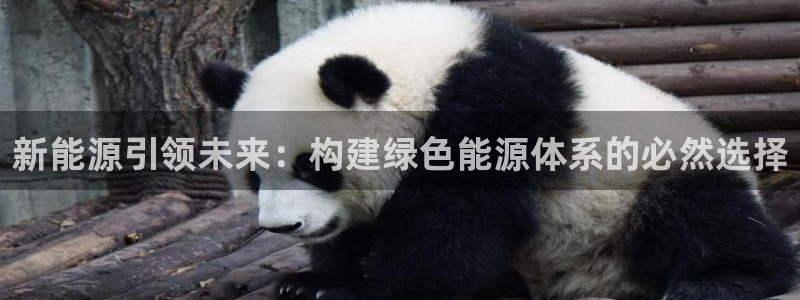 新宝gg主管baidu:新能源引领未来:构建绿色能源体系的必