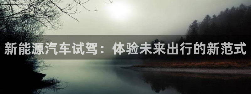 新宝gg计划