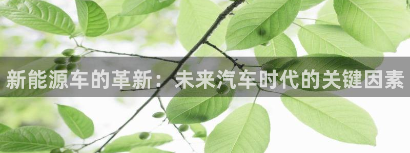 新宝gg怎么开户：新能源车的革新：未来汽