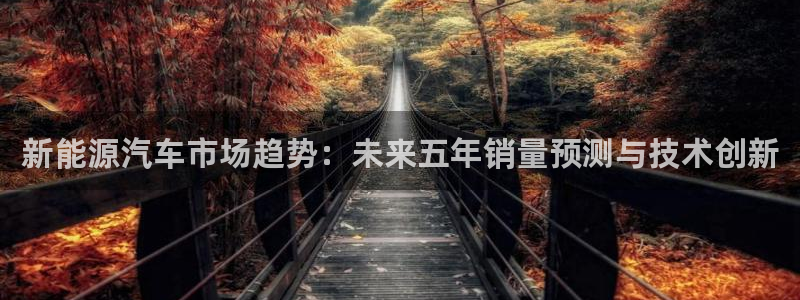 新宝gg官方主管：新能源汽车市场趋势：未