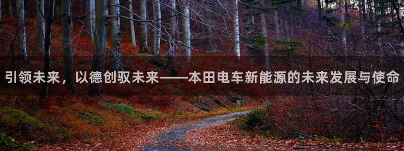 新宝gg官方：引领未来，以德创驭未来——