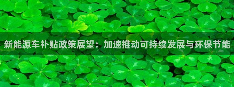新宝GG股东:新能源车补贴政策展望:加速推动可持续发展与环保