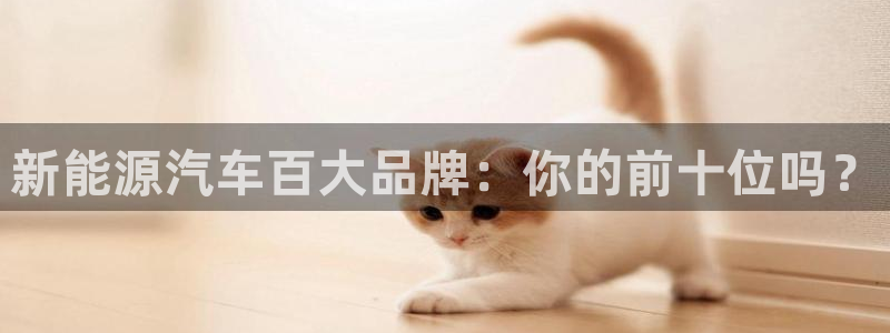 新宝gg珈75775：新能源汽车百大品牌