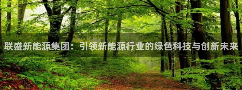 新宝哥gg：联盛新能源集团：引领新能源行