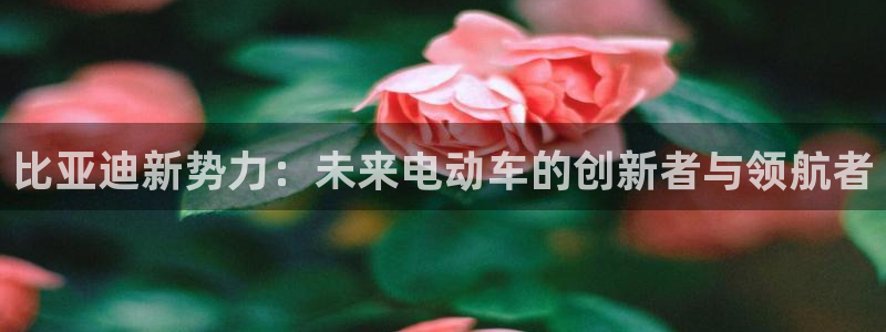 新宝gg开奖结果：比亚迪新势力：未来电动