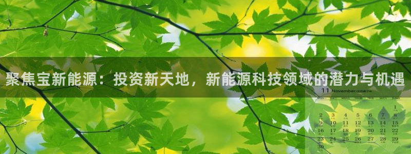 新宝gg 开户：聚焦宝新能源：投资新天地