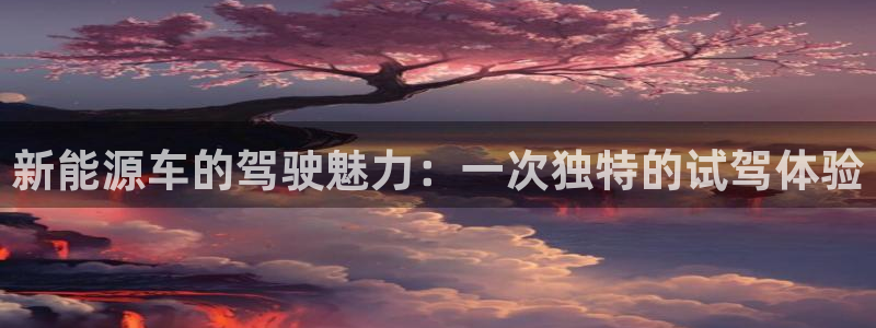新宝gg招商致胜团队
