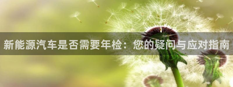 新宝gg总部：新能源汽车是否需要年检：您