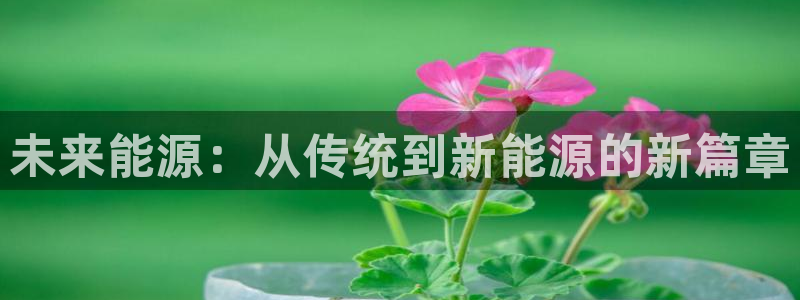 新宝GG登录③：未来能源：从传统到新能源