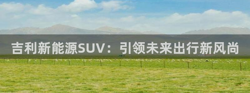 新宝gg入口网址