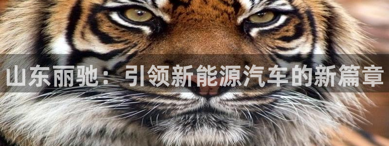 新宝gg网点:山东丽驰:引领新能源汽车的新篇章