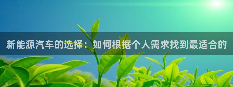 新宝gg招商致胜团队