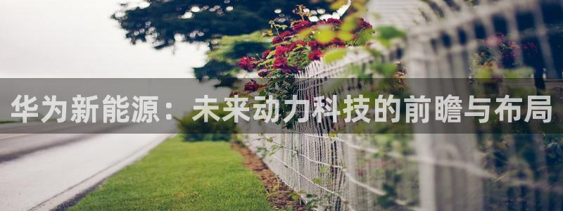 新宝gg属于