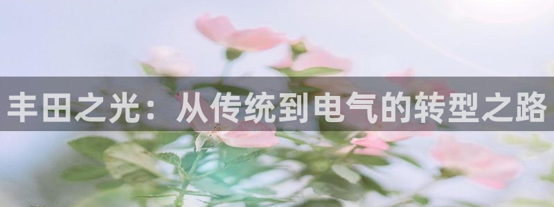 新宝gg109