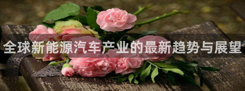 新宝gg测试：全球新能源汽车产业的最新趋