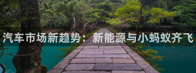 新宝gg   创造奇迹：汽车市场新趋势：