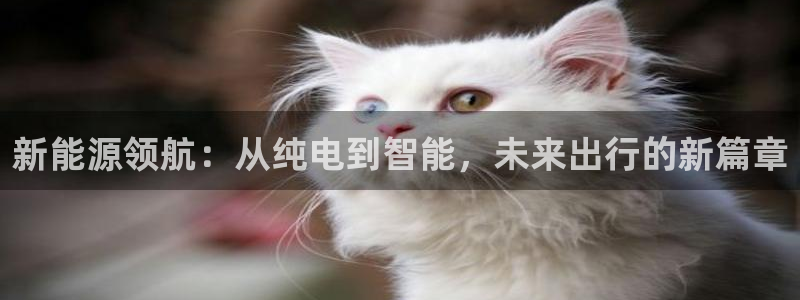 新宝gg注册平台:新能源领航:从纯电到智能,未来出行的新篇章