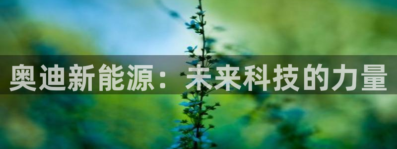 新宝gg注册q -26880:奥迪新能源:未来科技的力量