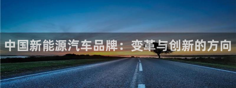 新宝gg 登录页面:中国新能源汽车品牌:变革与创新的方向