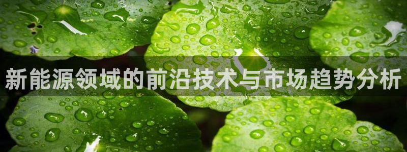 新宝gg欢迎