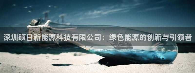 新宝gg app：深圳硕日新能源科技有限