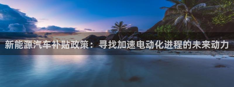 新宝gg游戏登录:新能源汽车补贴政策:寻找加速电动化进程的未