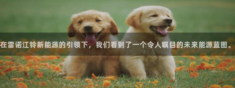新宝GG53339咨询新宝GG：在雷诺江