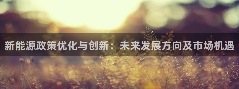 新宝创造Gg:新能源政策优化与创新:未来发展方向及市场机遇